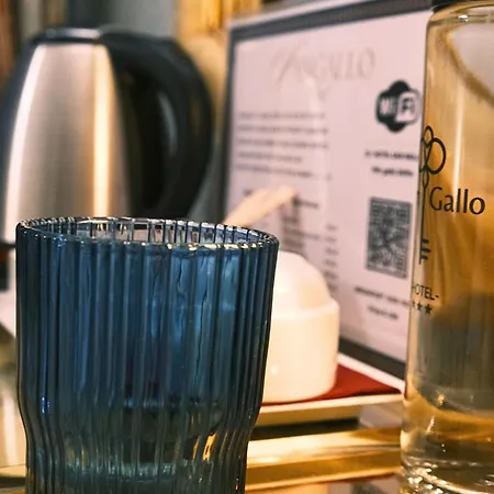 H O T E L S A N G A L L O L 3*