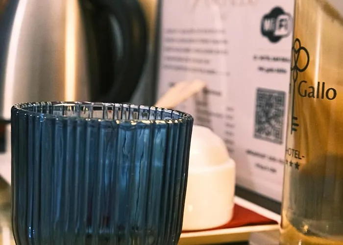 H O T E L S A N G A L L O L 3*